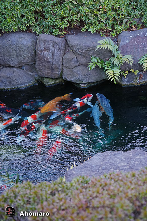 写真00