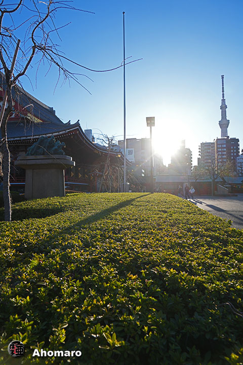 写真00