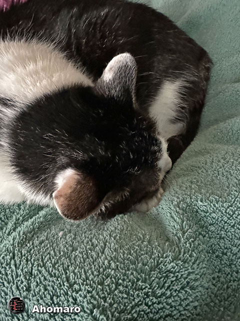 ʐ^00