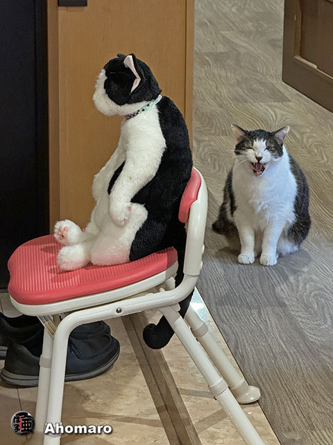 ʐ^00