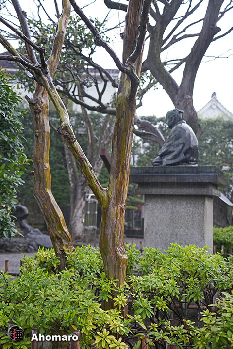 写真00
