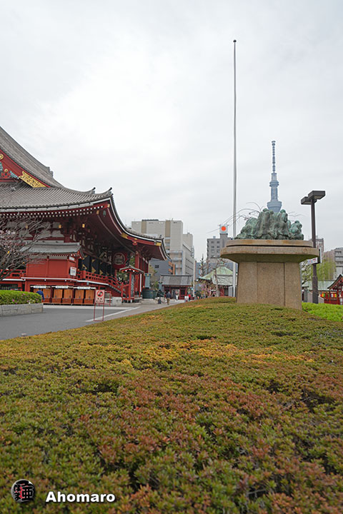 写真00