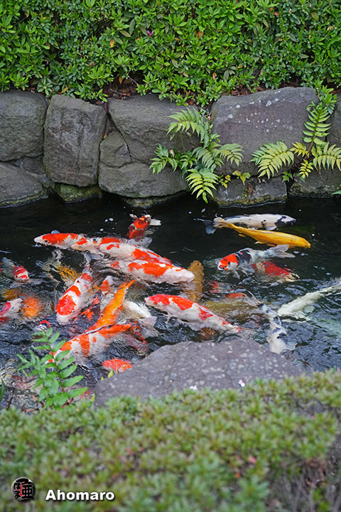 写真00