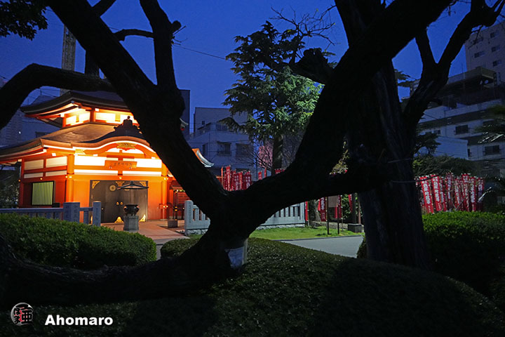 写真00