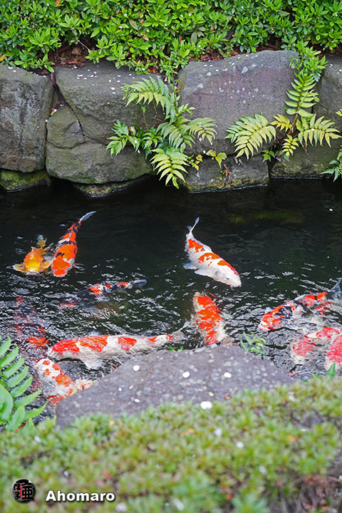 写真00