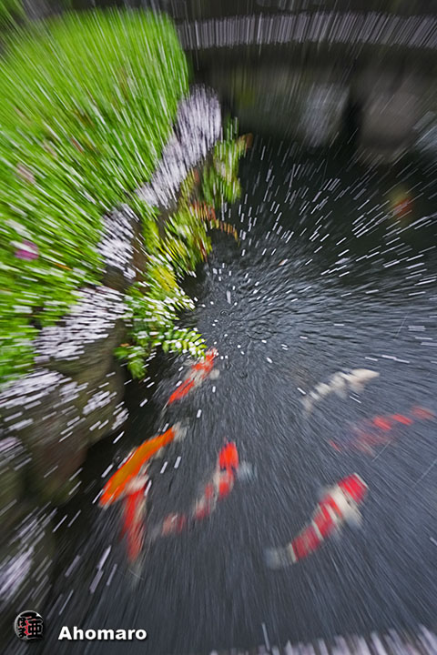 ʐ^00