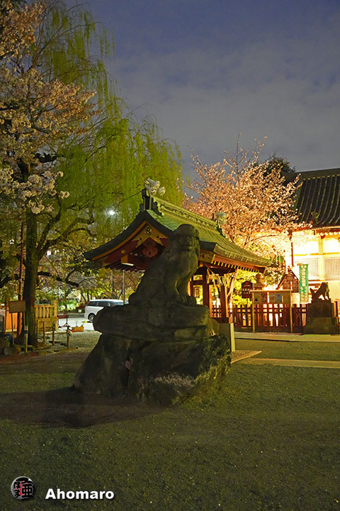 写真00