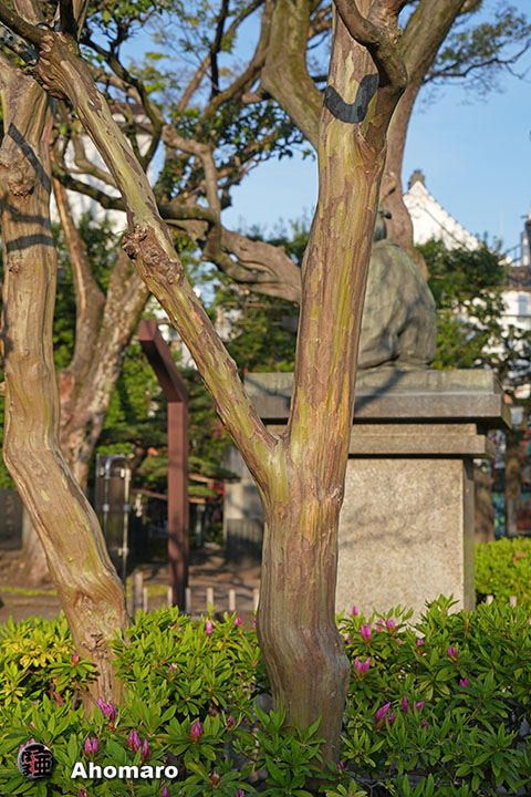 写真00