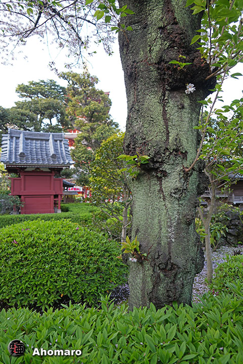 写真00
