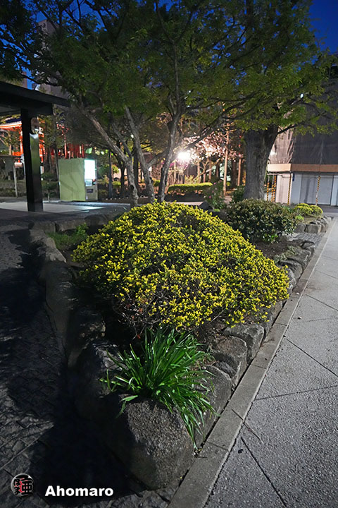 写真00