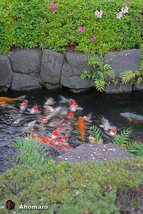 写真00