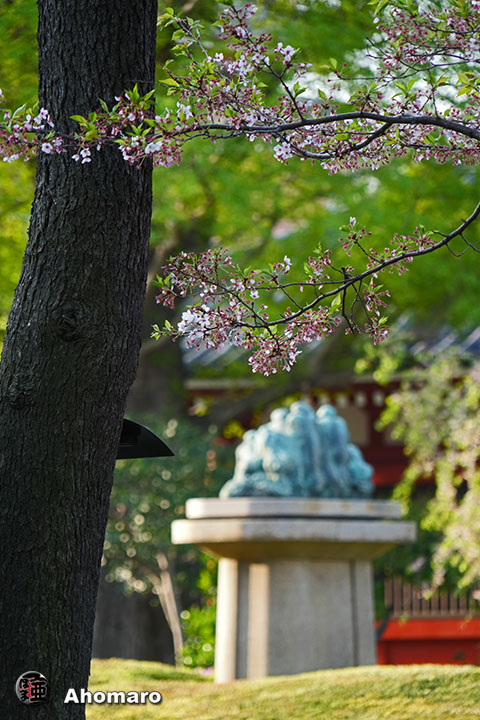 写真00