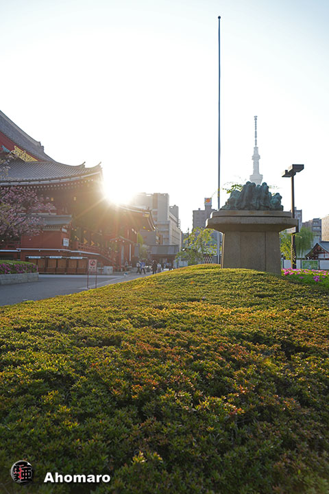 写真00