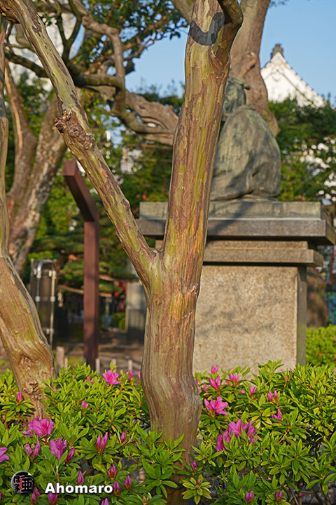 写真00