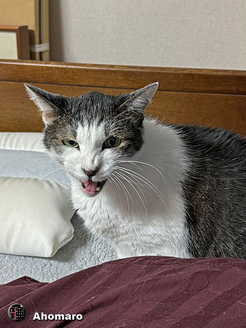 ʐ^00