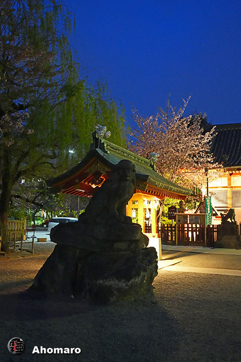 写真00
