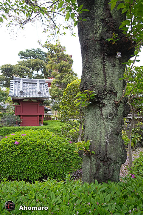 写真00