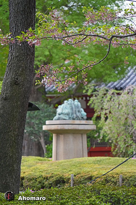 写真00