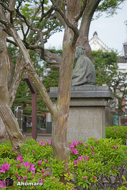 写真00