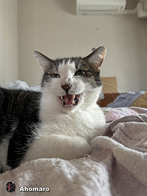 ʐ^00