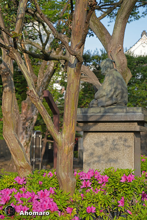 写真00