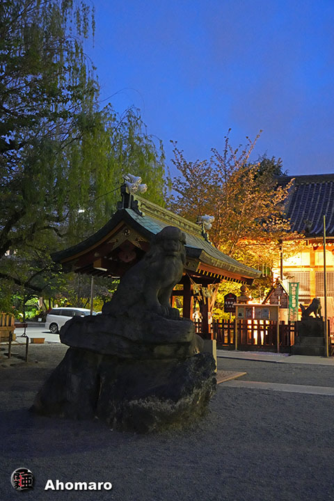 写真00