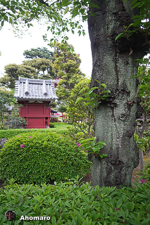 写真00
