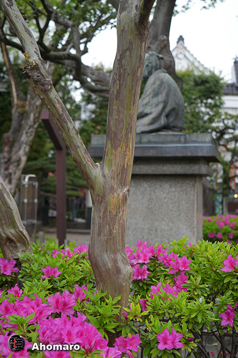 写真00
