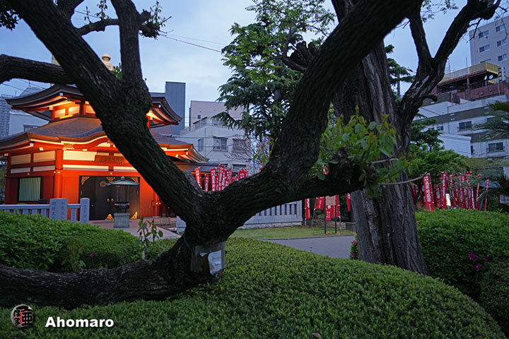 写真00