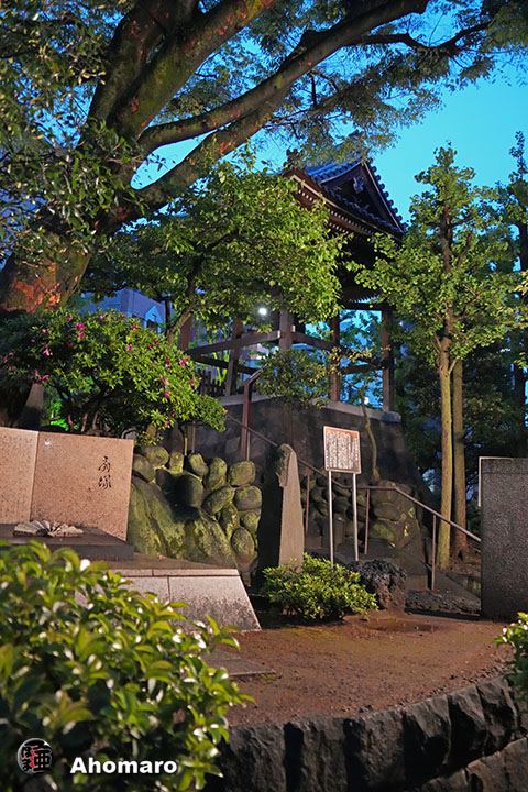写真00