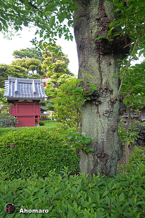 写真00