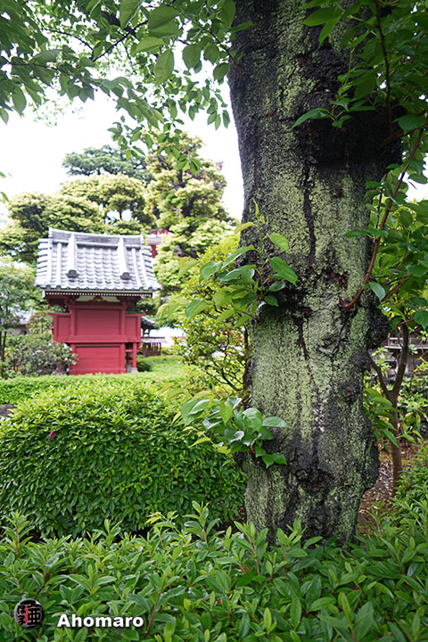 写真00