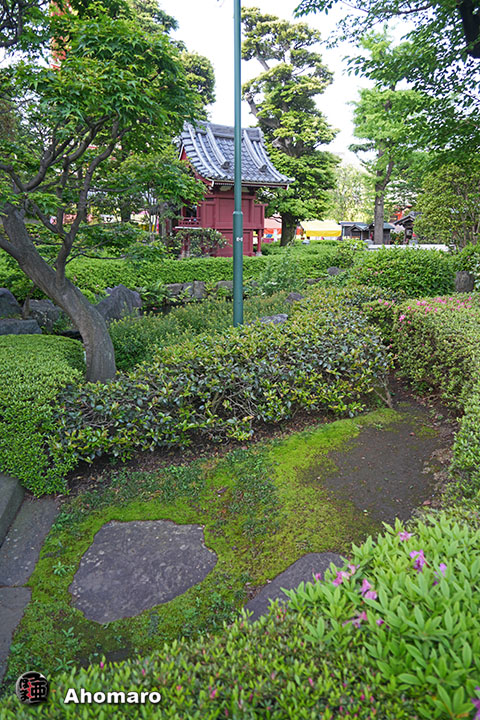 写真00