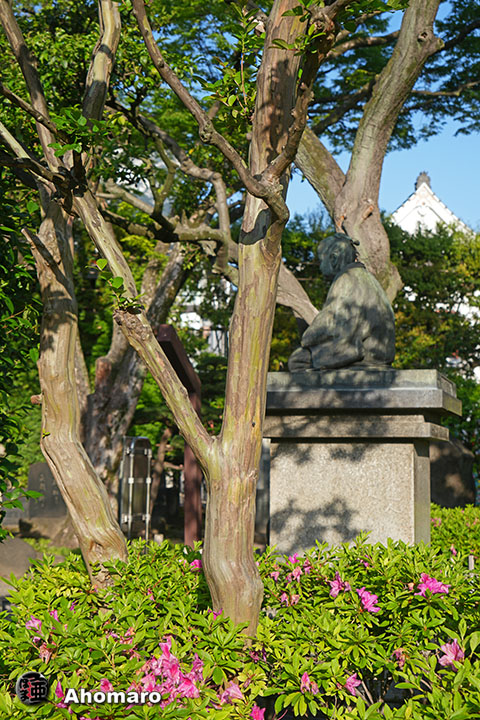 写真00