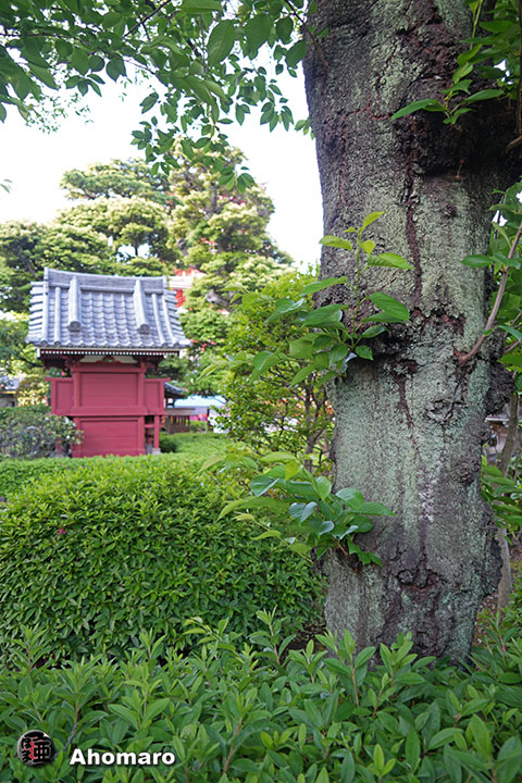 写真00
