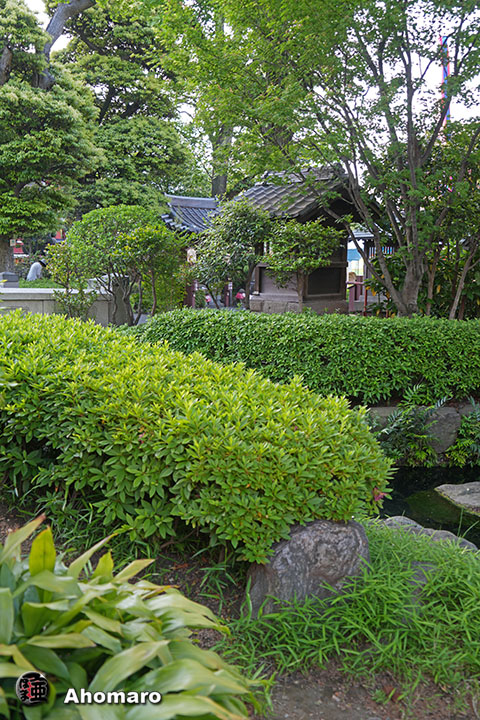 写真00