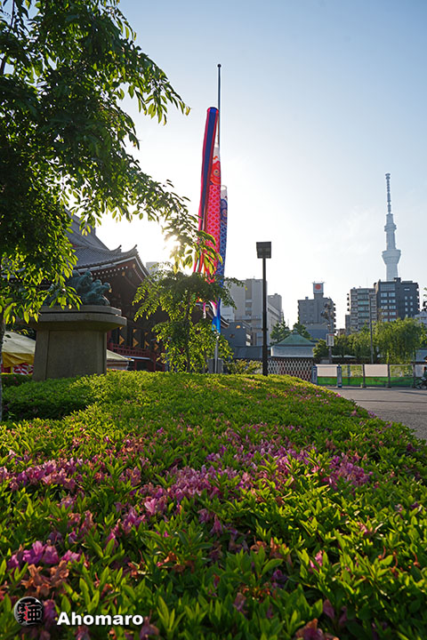 写真00