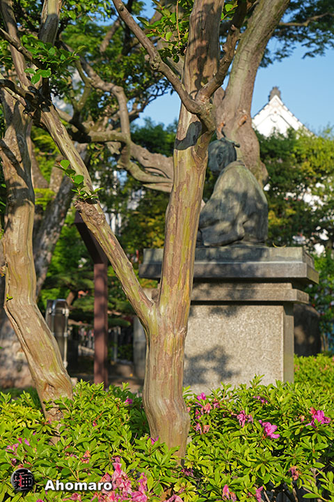 写真00