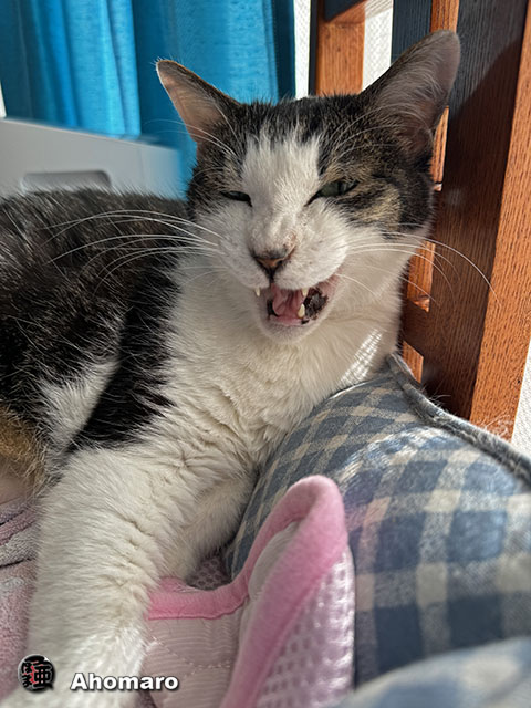 ʐ^00