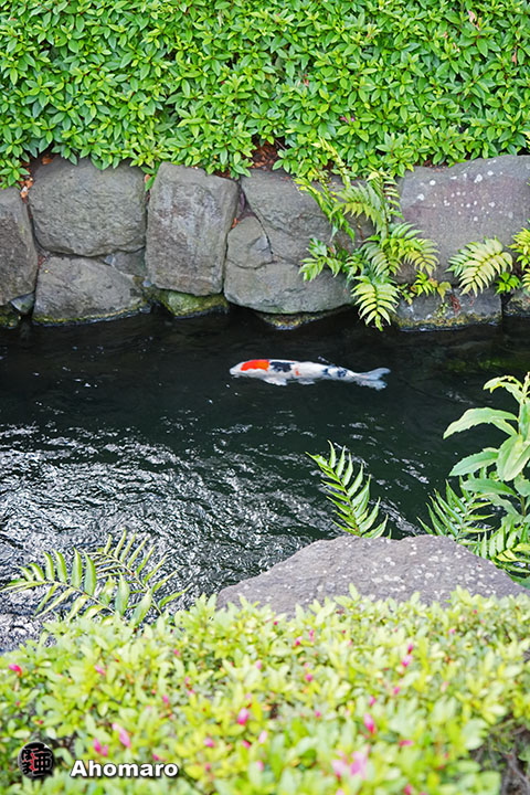 写真00