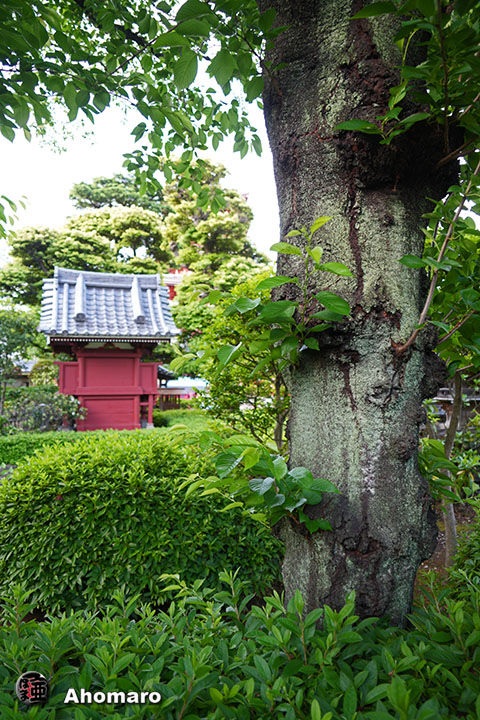 写真00