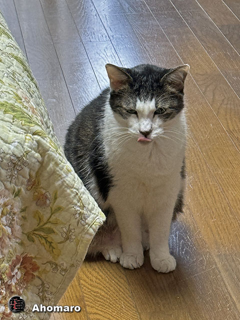 ʐ^00
