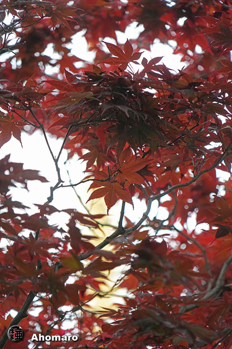 写真00