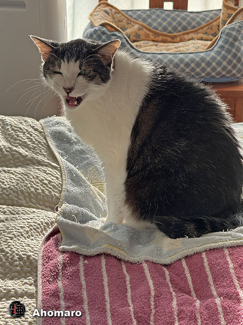 ʐ^00