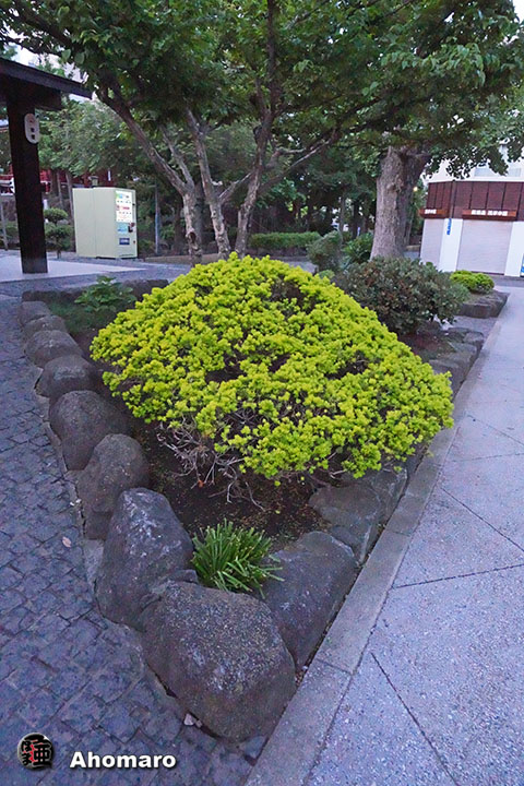 写真00