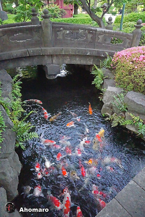 写真00