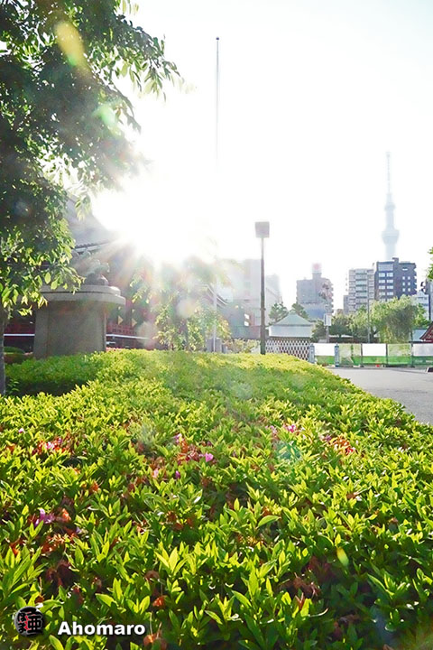 写真00