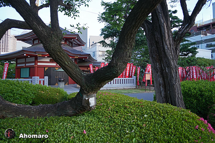 写真00