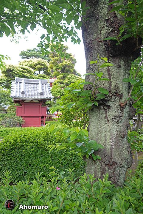 写真00