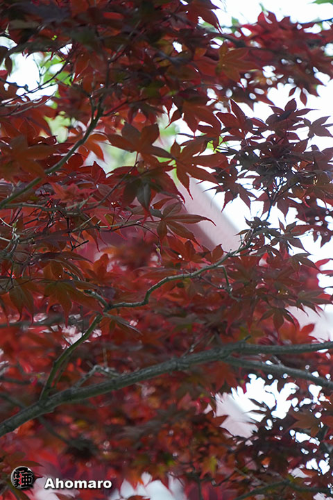 写真00